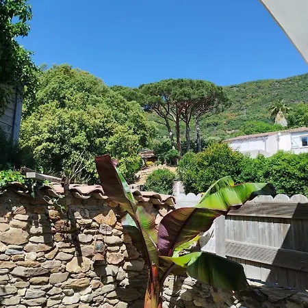 Rez De Jardin A 2 Km De La Plage Apartmán Cavalaire-sur-Mer